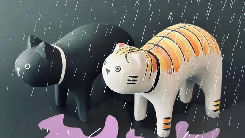 Kitty in the rain at Sunset